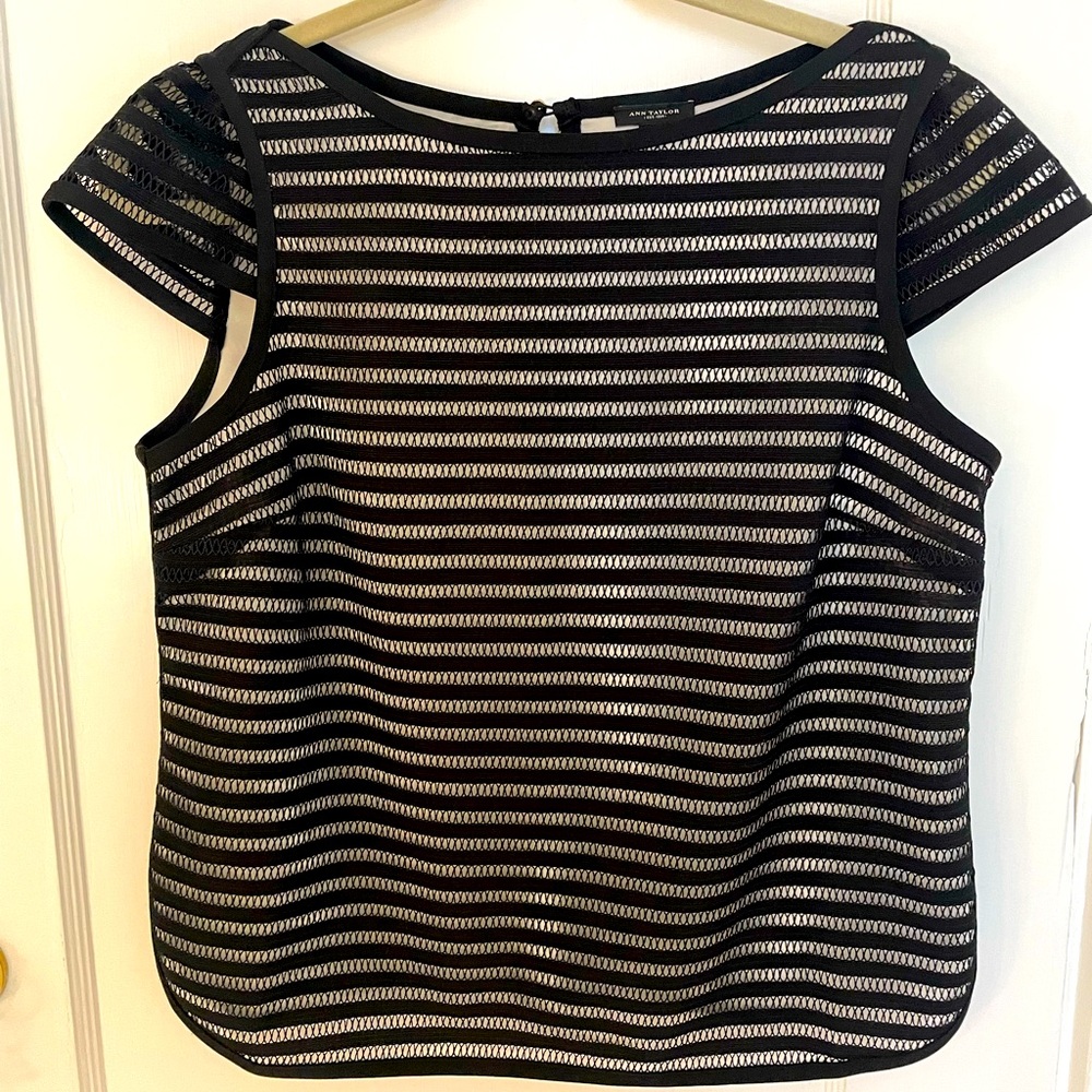 Ann Taylor Black Stripes Summer Top